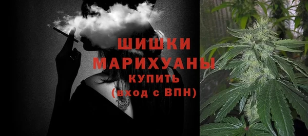 трава Белокуриха