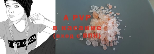 трава Белокуриха