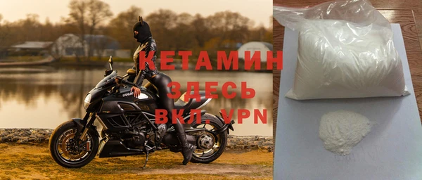 трава Белокуриха