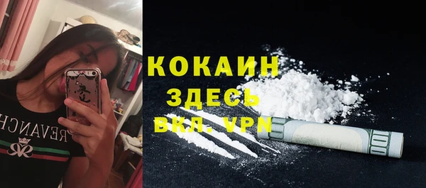 трава Белокуриха